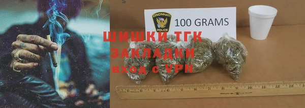 мдпв Богданович