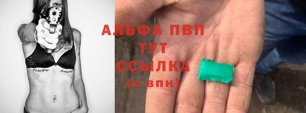 винт Верея