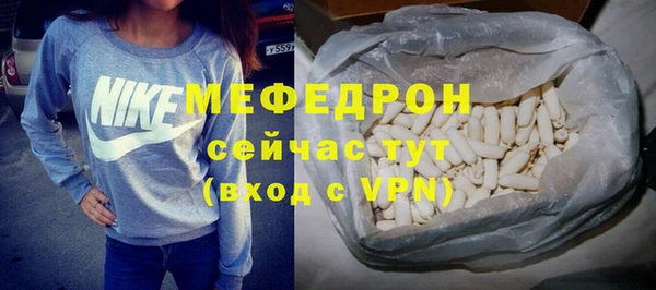 мдпв Богданович
