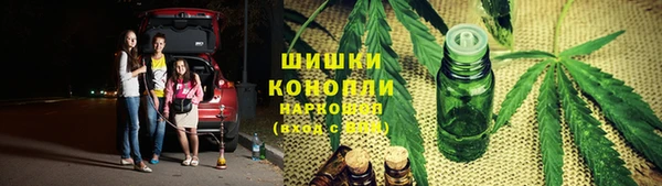 винт Верея